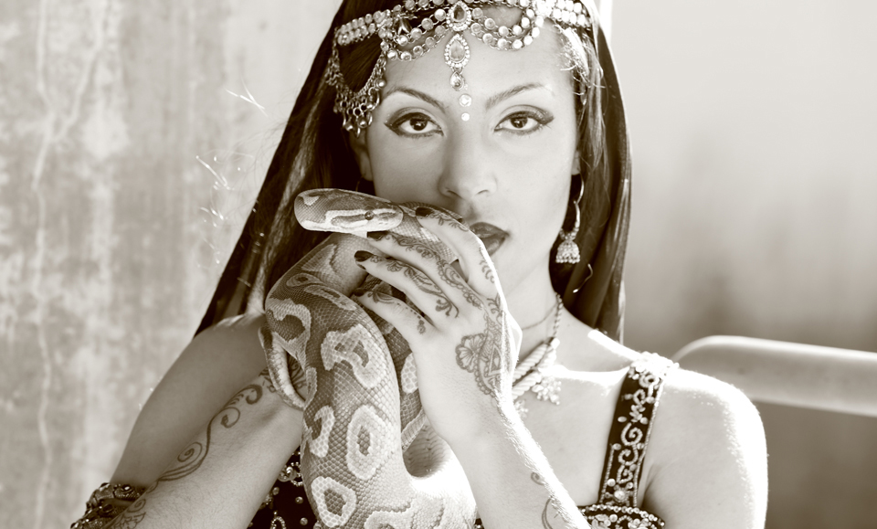 bollywood dancer with snake sevdha los angeles